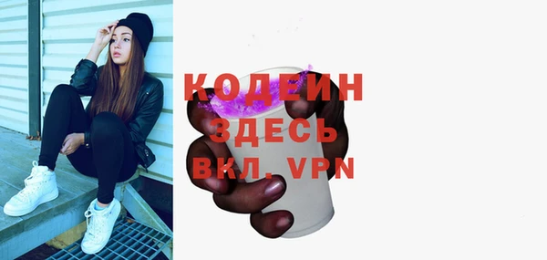шишки Дмитровск