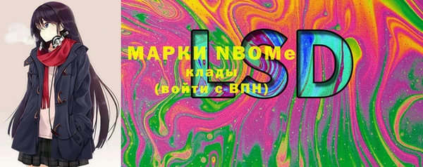 шишки Дмитровск
